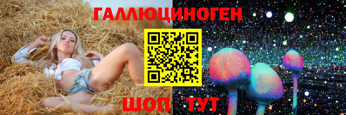 Псилоцибиновые грибы Cubensis Грязи