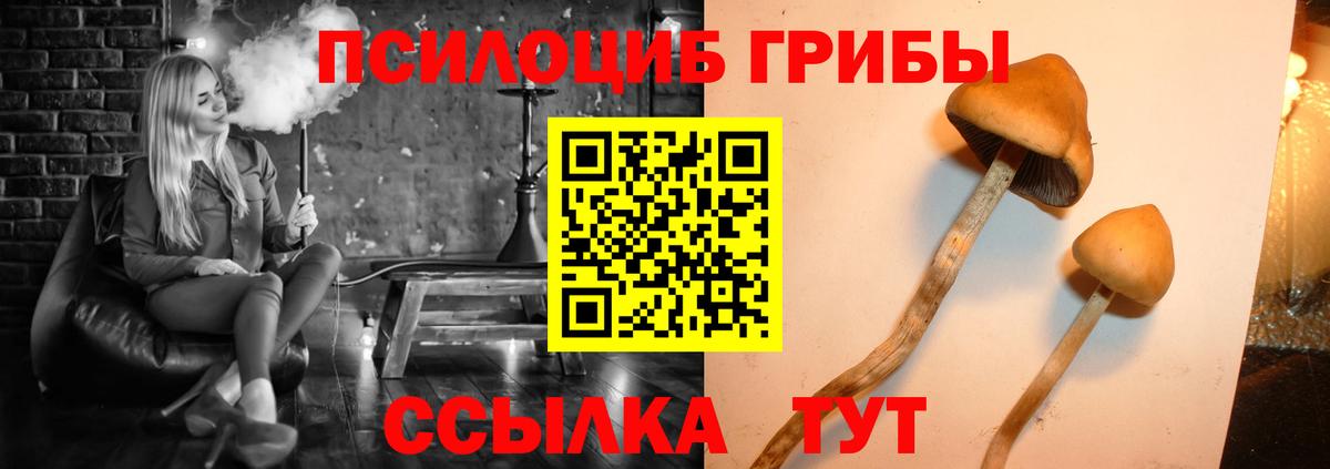 Грязи  Псилоцибиновые грибы GOLDEN TEACHER  купить наркотик  Псилоцибиновые грибы мицелий  Вход с VPN 